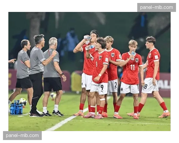 国际足联足球法年会探讨体育继承规则与判例法发展